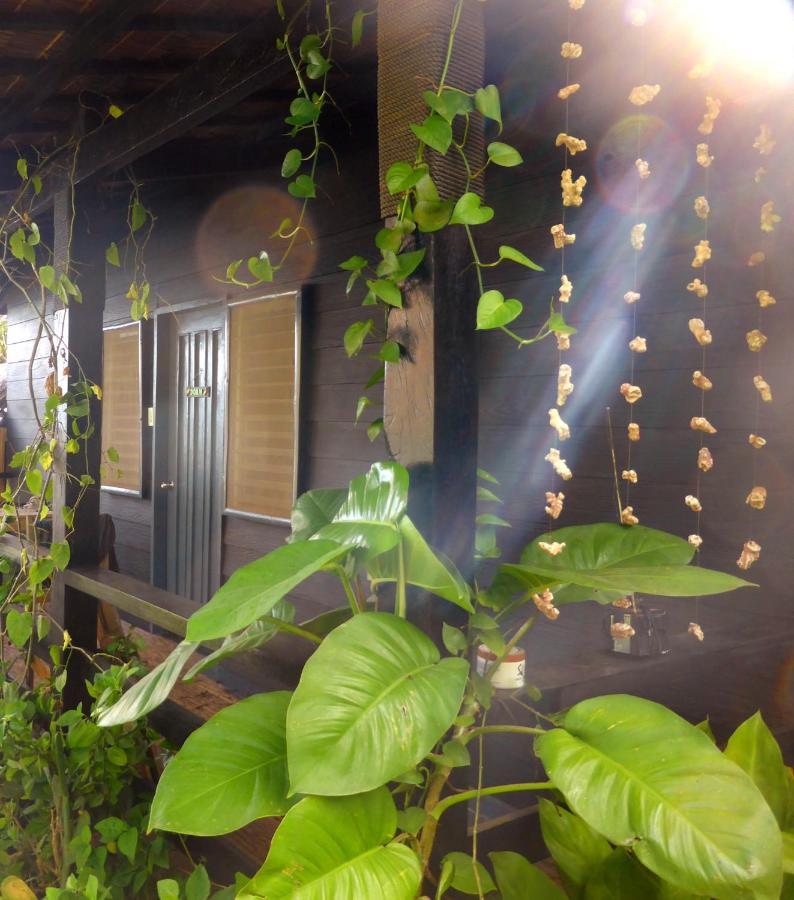 Cliff Garden Hostel