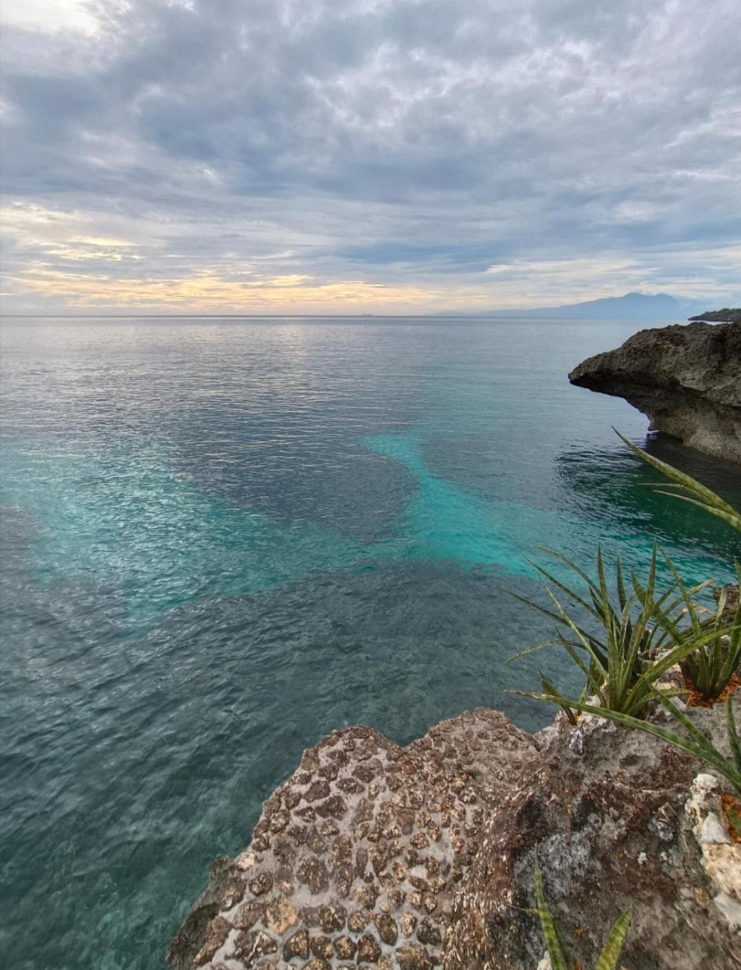 Cliff Garden *